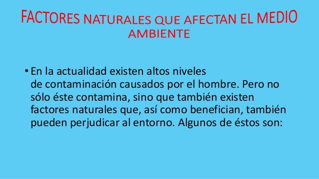 el hombre que solo amaba los numeros descargar